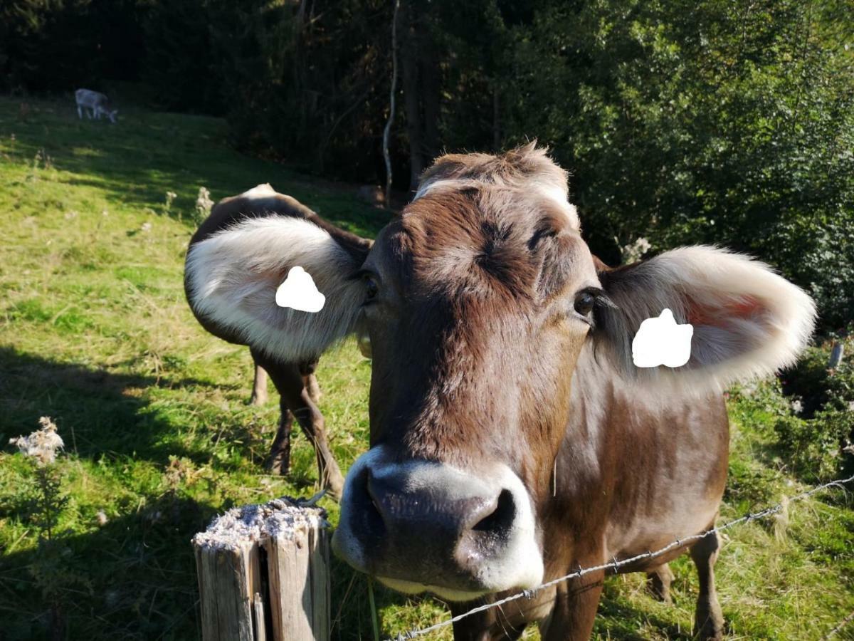 Ferienwohnung Deine Auszeit Im Allgaeu Missen-Wilhams Buitenkant foto